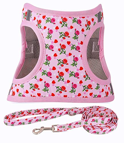 Moonpet Step in Valentine's Day hundsele koppel set – alla väder reflekterande icke-dragande blommönster vadderad nätväst sele för katter valp extra små medelstora hundar – hjärta ros – XXS