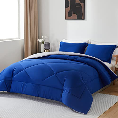 beeweed Bettdecke 200x200 Ganzjahresdecke Wende-Steppdecke 300 GSM 4 Jahreszeiten Bettdecke Duvet 200x200cm Weiche Mikrofaser Schlafdecke mit Kissenbezüge