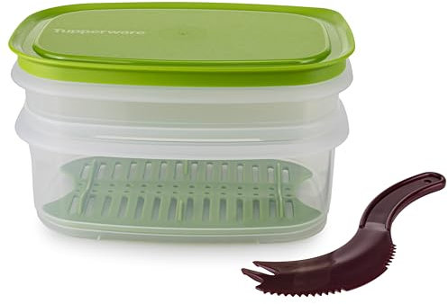 Tupperware Junior-Cool n' Fresh Behälter grün 640 ml + 260 ml Kühlschrank Wurstbox Frischhaltebox (inkl. Käsemesser)