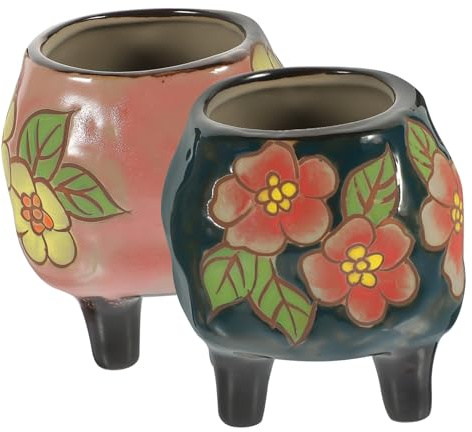 Toyvian 2 Piezas Macetas para Plantas Suculentas de Macetas para Suculentas Color Aleatorio
