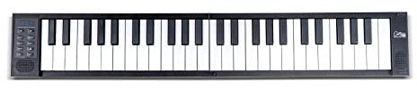 Folding Piano 49 Touch - Ultra-Portable with 128 Voices, USB and Bluetooth MIDI Connectivity - Portable Piano keyboard for Travel Suitable for Practice and Performances - Black