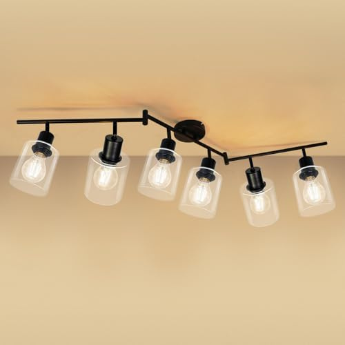 Wondlumi Deckenstrahler 6 Flammig LED E27 Schwarz Glas Metall Schwenkbar | Deckenleuchte Industriell Vintage Deckenspots 230V Wohnzimmer Esszimmer Schlafzimmer ohne Leuchtmittel
