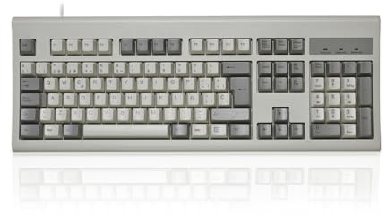 Perixx PERIBOARD-106M, effiziente USB-Tastatur in voller Größe, ergonomische Gebogene Tasten, klassischer Retro-Stil, Grau und Weiß, spanische QWERTY
