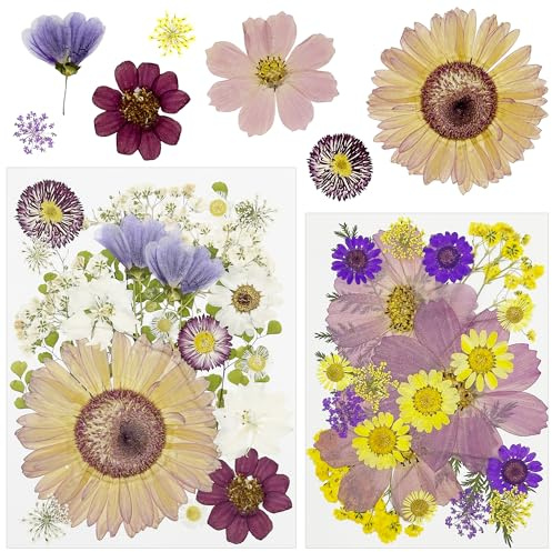 Attuslla 44 Stück NatüRliche Getrocknete Gepresste Blumen für Harz, Lila DIY Getrocknete Gepresste Blätter Blumen für Kunst Basteln DIY Harz Scrapbooking Handwerk