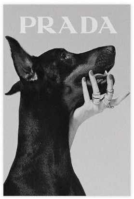 EMIGOS Schwarz-Weiß-Mode-Foto-Poster, Leinwand-Poster, Schlafzimmer, Dekoration, Sport, Landschaft, Büro, Raumdekoration, Geschenk, ungerahmt, 30 x 45 cm