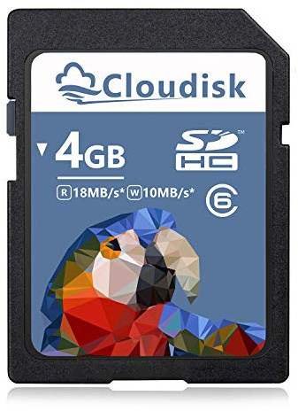 Cloudisk SD Card (4GB)