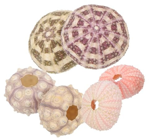 BESPORTBLE 6stücke Seeigel Luftpflanzen-übertöpfe Kreative Seeigel-blumentöpfe Für Aquarium-Landschaft DIY-seeigel-Ornamente Bastelzubehör Zufällige Farbgröße