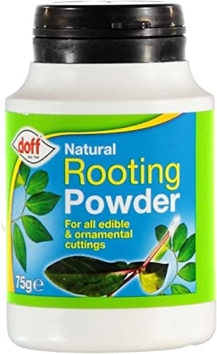 Munnie Natural Rooting Formula 75g – Rooting Hormone for Plant Cuttings, Promotes Strong Root Growth, Ideal for Edible & Ornamental Plants, Natural Plant Propagation Aid & Easy to Use Garden Formula