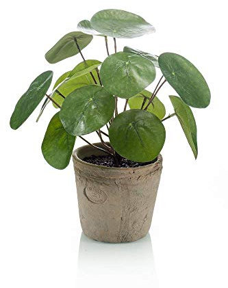 artplants.de Künstliche Sukkulente Glückstaler Sybil im Terracottatopf, grün, 20cm - Künstliche Ufopflanze