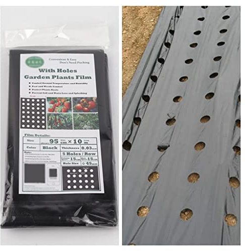 EOMO Película de mantillo Perforada de PE Negra con 5 Orificios, 95 cm x 10 m, 0,03 mm de Grosor, for jardín de Fresas o Cubierta agrícola, con Control térmico y de malezas (1 Unidad)