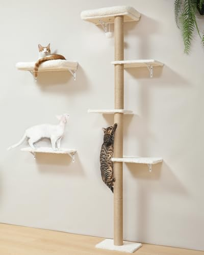FUKUMARU Kletterwand Katzen-Set, 178 cm hoch, stabiles 3-in-1 Kratzbaum-Set aus mehrschichtigem Massivholz, Holzkatzenmöbel mit Kratzbaum-Wand und 2 Wandregalen, platzsparende Kletterwand, Beige