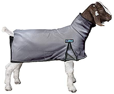 ProCool™ Goat Blanket with Reflective Piping, Extra Large, Gray