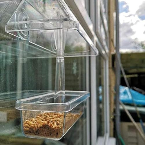 Wiggly Wigglers Window Bird Feeders With Strong Suction Cups And Removable Seed Tray Clear Birdfeeder With 500g Live Mealworms For Small Birds, Unique Gardening Gifts