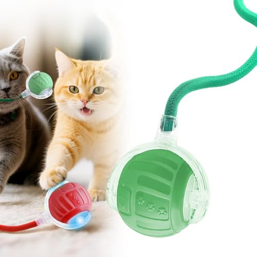 Hundespielzeug Ball, 2025 Neu Interaktives Katzenspielzeug Elektrisch Hund Mit Vogelgeräusche, 360° Smart Rolling Pet Ball Ballmaschine Hund für Katzen und Hunde für Katzen Hunde, Type-C (Grün)