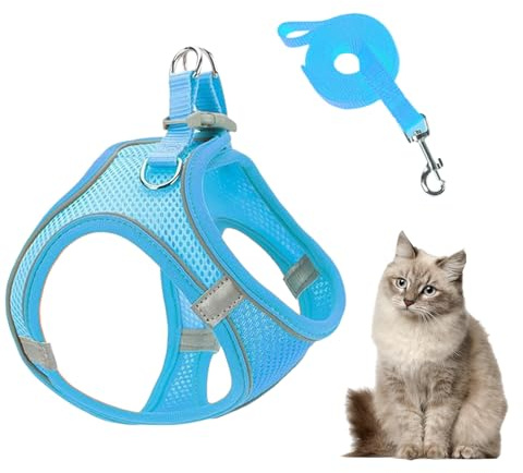 Katzengeschirr und Leinen, Netzgeschirr und Hundeleinen, atmungsaktiv, ausbruchsicher, für Welpen, Kätzchen, Katzen, zum Wandern, Tierarztbesuche, Outdoor, Camping, Ausflüge, Training