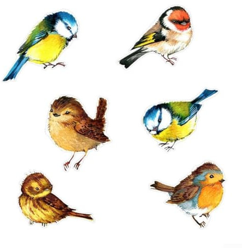 Fensterschutz mit Vogel-Anti-Kollisions-Aufklebern, 6-teiliges elektrostatisches Set (#3)