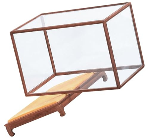 BESPORTBLE Multifunktionale Antike Vitrine aus Holz Transparente Staubdichte Modellaufbewahrungsbox Tischvitrine für Bastel und Haushaltsdekor Formstabil und Leicht zu Reinigen