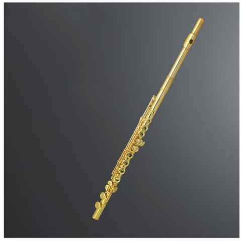 Querflöte 16 Geschlossene Löcher 17 Offene Löcher Flöte Professionelles Instrument C-Taste Weißes Kupferloch(16 holes)