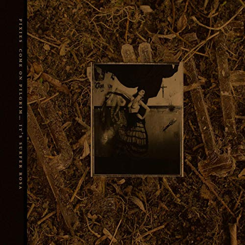 Come on Pilgrim-It's Surfer Rosa