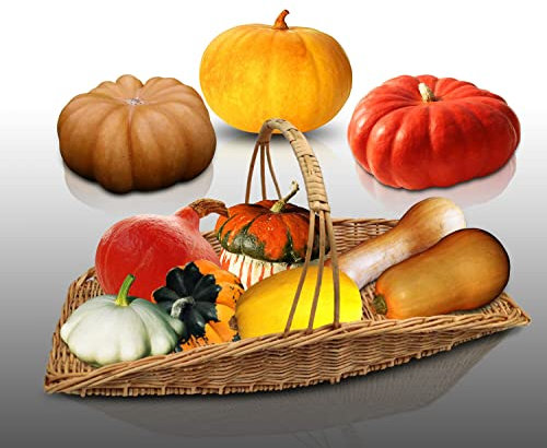 Lot de 100 graines à semer - Le Grenier d'Abondance - Fan de Courges - 9 sachets individuels