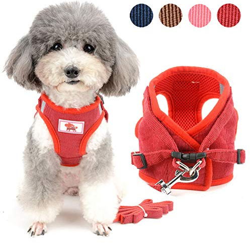 Zunea Hundegeschirr mit Leine Kleine Hunde Welpen Weste Geschirr Rot S | Weich Cord, Atmungsaktivem Mesh Gefüttert, Ausbruchsicher, Reflektierend, Verstellbar, Spaziergänge, Chihuahua Yorkie Katzen