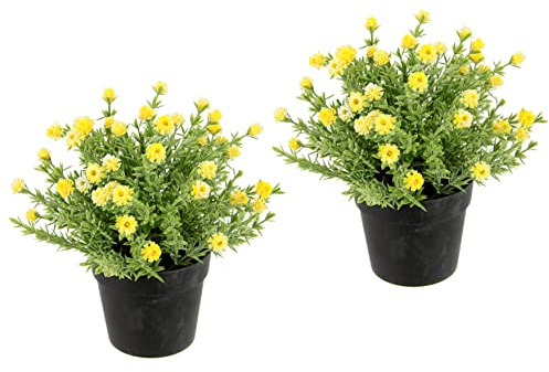 Flair Flower Blütenbusch im Topf Künstlich Wachsblume Heidenkrant Busch Tischdeko Mittelstück Hochzeitsdeko Kunstblumen 020998G Gelb 20x18x18 cm