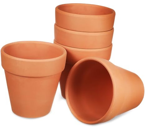YARNOW 5 Piezas Planta De Cerámica Suculenta Mini Vasijas De Barro Mini Maceta De Arcilla Maceta De Flores Maceta De Terracota Mini Macetas Pequeñas Suculentas Maceta De Orquídeas