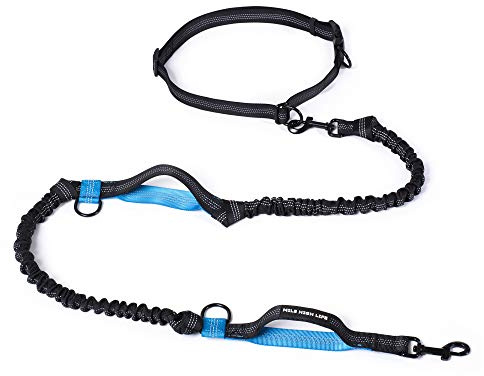 Mile High Life Correa de cintura manos libres para entrenamiento de perros para correr y trotar, cinturón ajustable con doble asa, elástico reflectante para perros medianos y grandes (azul, 2,1 m)
