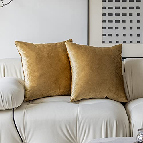 Demetex 65 x 65 Cushion Covers Large Velvet Cushion Cases Decorative Square Gold Cushions for Sofa Bed Floor Living Room, 65x65 cm, Set of 2, Gold