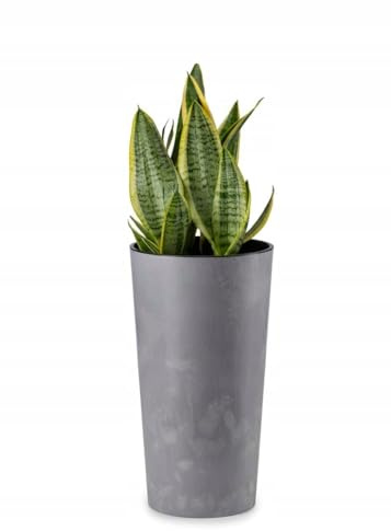 HowHomely Maceta Urbanika de 9,5 l, Macetas Grandes, Cubremacetas, Gris, Plástico, 46,6 cm x 25,5 cm x 25,5 cm, Decoración