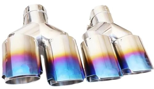 Auspuffrohr 1 Paar Edelstahl 1 Bis 2 Doppelrohr-Auspuffanlage Silber Blau Schalldämpfer Universal Auto Automobil Spitzenrohre Auspuffblende (Farbe : IN 60MM OUT 114MM)