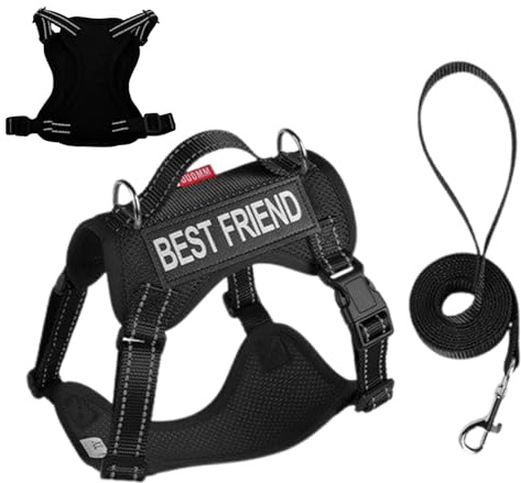 Katzengeschirr – verstellbares Geschirr aus weichem Netz für Katzen, reflektierendes Dressurhalsband für Haustiere, mittlere und große Größe