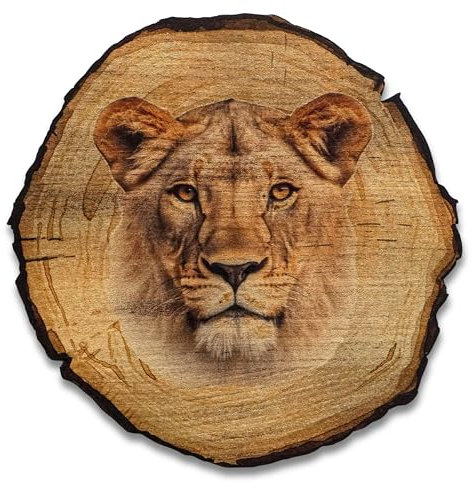 DRO Design Löwe - Größe 20cm - Rustikales Wandbild im Vintage Look – Holzoptik Wanddeko mit Motiv für Wohnzimmer und Flur – Geschenkidee für Tierliebhaber, Wandgemälde