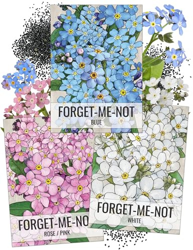 Seed Needs Forget-Me-Not Seed Packet Collection (Includes 3,000 Forget-Me-Not Seeds for Planting) Heirloom, & Open Pollinated Rose Blue & White Flowers