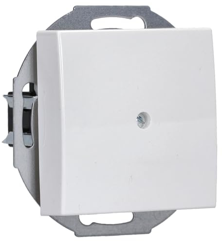 Busch-Jaeger 2527-914 Zentralscheibe mit Tragring (Thermoplast) Balance SI Alpinweiß