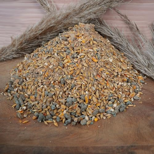 Horse Power – Getreidehaltiges Müsli für Sport- & Freizeitpferde | 25 kg | Vollmineralisiert, Hochwertige Energiequelle