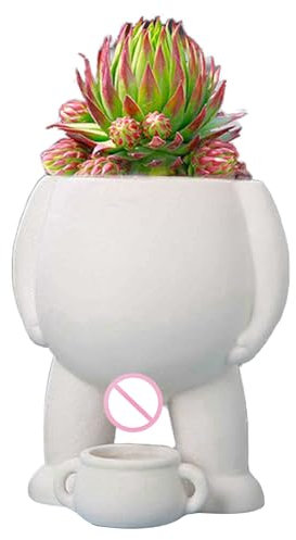 Maceta Divertida para suculentas – Maceta con de pipí, Organizador Decorativo para Plantas con de pipí | Maceta de cerámica Original con Orificios de Drenaje para suculentas, Flores, Plant