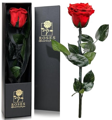 Infinity Rose, Geschenke für Frauen, Ewige Rose mit Stiel Geschenke für Frauen Echte Rosen Eine Konservierte Blume für Mama Damen Freundin zum Geburtstag Valentinstag Weihnachten Muttertag