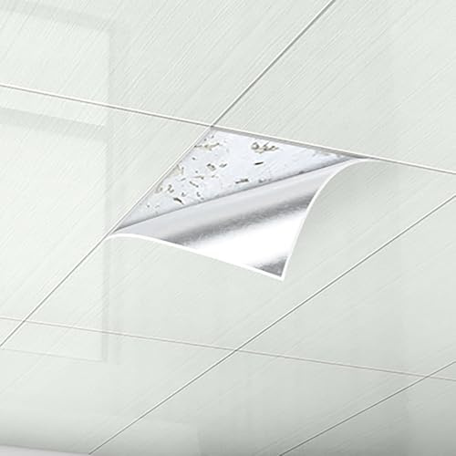 MLYAYE Deckenpaneele Deckenplatten Glatte Vinyl-Deckenfliesen, 10er-Pack, Selbstklebende Deckenfliesenaufkleber für Schlafzimmer, Küchen und verschleißfeste dekorative PVC-Decken- und Wandfliesen(#1)