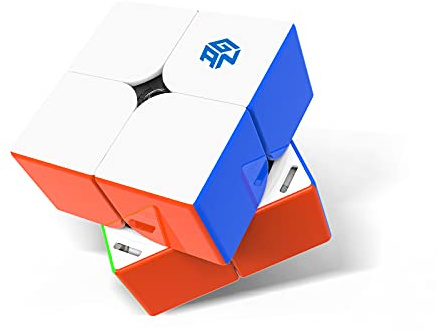 GAN 251 M Pro, GAN 2x2 Magnetisk Speedcube Utan Klistermärken GANs 251 Mini Kub 63 Magneter Pussel Leksak för Nybörjare (Frostad Yta, Vit Insida)