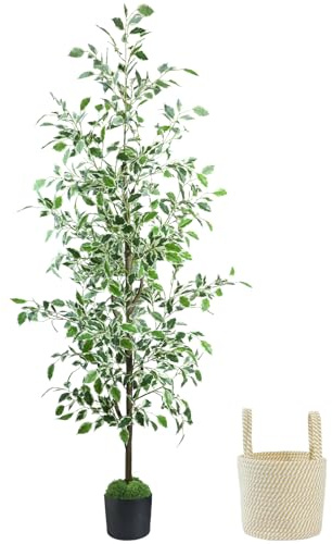 Caxchiling Fake Ficus Tree 6FT,Artificial Floor Plants for Indoor Outdoor, Lifelike Potted Tree with Moss Topper and Cotton Basket, Home Office Living Room Bedroom Doorway Decor (White-Edged Leaves)