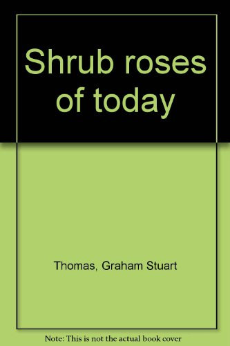 Shrub roses of today