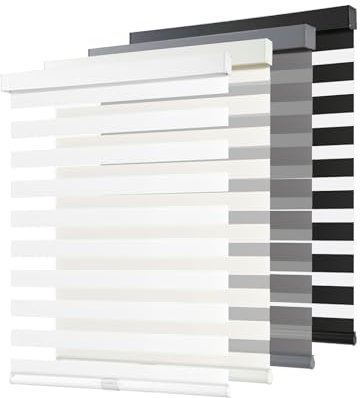 AOSKY Cordless Zebra Blinds for Windows Pull Down Roller Window Shades Dual Layer Light Filtering Privacy for Day and Night, Free-Stop Door Shades for Home Easy to Install (20 W X 72 H, White)