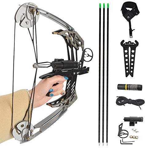 MILAEM Bogenschießen Compoundbogen mit Pfeilen Set 25lbs Jagdbogen Sportbogen Juniorbogen Außenschießen Rechtshänder (Silber)