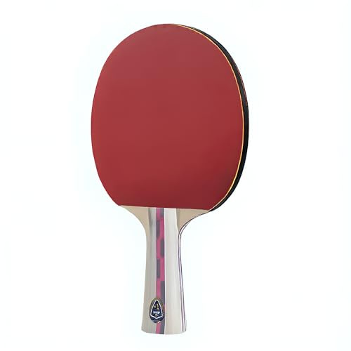 Racchetta da Ping Pong 2 Stelle Performance 5 strati – Professionale Ideale per Principianti e Giocatori Amatoriali – Impugnatura Ergonomica e Superficie Antiscivolo per Maggiore Controllo