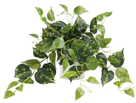 Sour Lemon Künstliche Pflanzen Scindapsus Aureus mit Kunststofftopf Realistische Kunstpflanzen für Home Office Regal Indoor Outdoor (1 Pack)