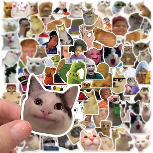 Duoleimi 100er Pack Meme Sticker Set Lustige Aufkleber wasserdichte Vinyl Sticker für Laptop Kinder Auto Motorrad Fahrrad Skateboard Koffer Computer - Coole Meme Sticker Lehrer Graffiti Decal