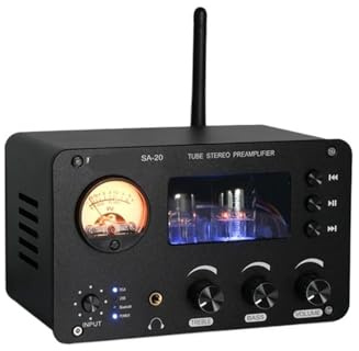 Preamplificatore a valvole SA-20 febbre HiFi ad alta potenza 6H3N preamplificatore a valvole stereo USB disk lossless decodifica