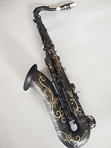 HTian Japanischer Tenor Saxophon Hohe Qualität Matte Schwarz Musical Instrument Professionelle Spielen Tenor Saxophon (Color : Tenor Saxophone)