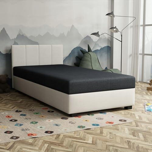 TAPCZANY24 - Boxspringbett Adel 120x200 cm mit Bonell Matratze | Bett mit Matratze, Polsterbett mit Bettkasten, Gepolstertes Einzel Bett, Schlafsofa - Weiß mit schwarzer Matratze